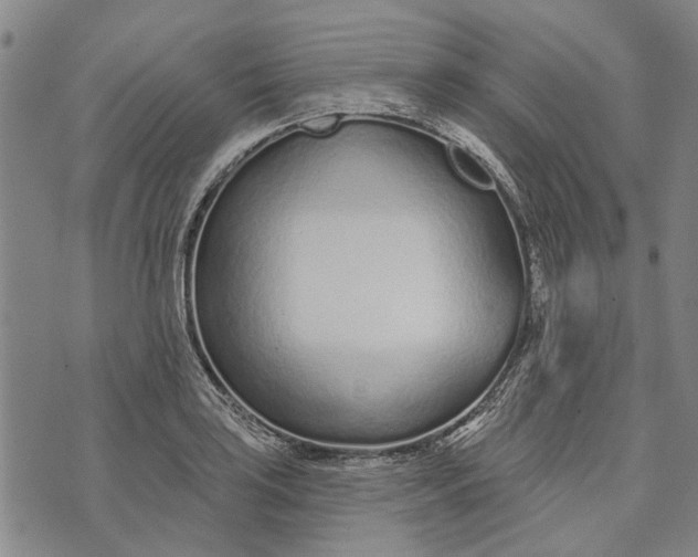 X0000073761035200608241407