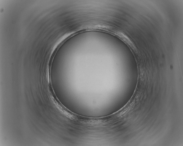 X0000073761036200608241407