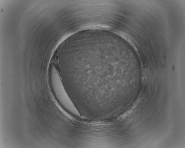 X0000073761037200608241407