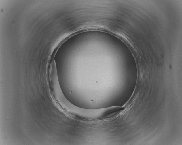 X0000073761038200608241407