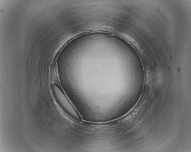 X0000073761039200608241407