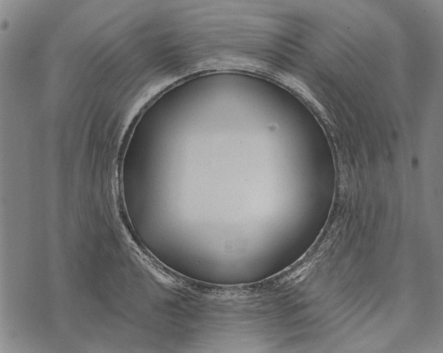 X0000073761040200608241407