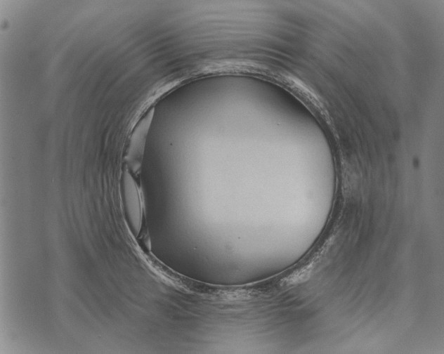 X0000073761041200608241407