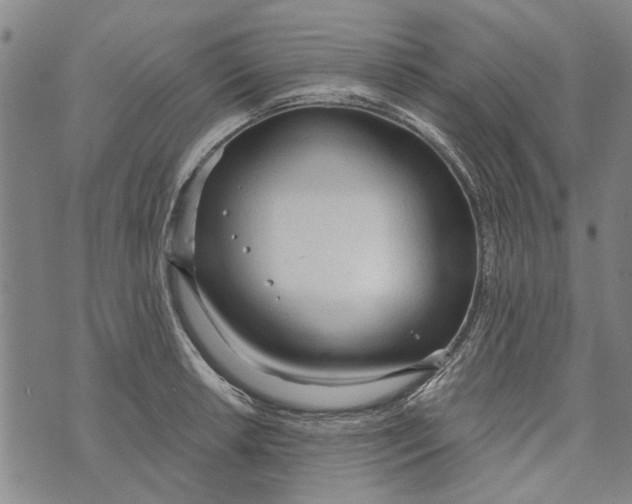 X0000073761042200608241407