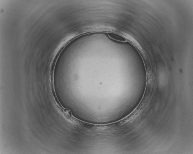 X0000073761043200608241407