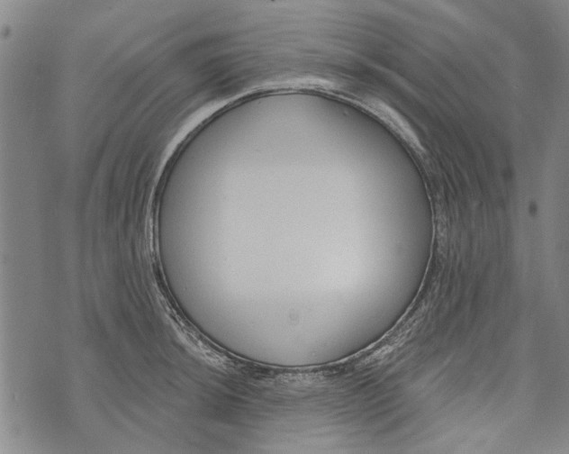 X0000073761044200608241407