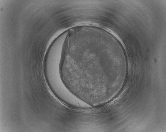 X0000073761045200608241407