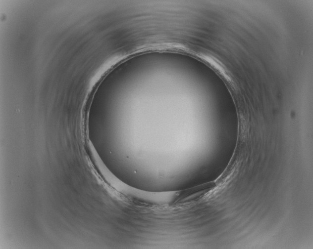 X0000073761046200608241407