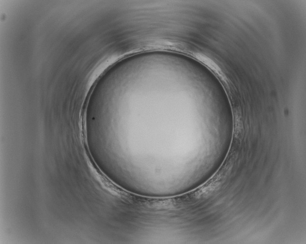 X0000073761047200608241407