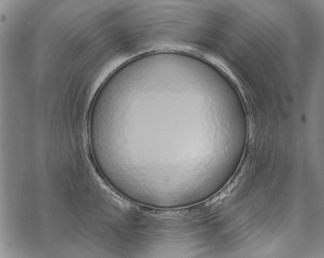 X0000073761048200608241407