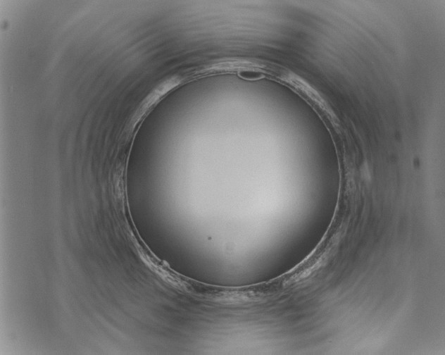 X0000073761049200608241407