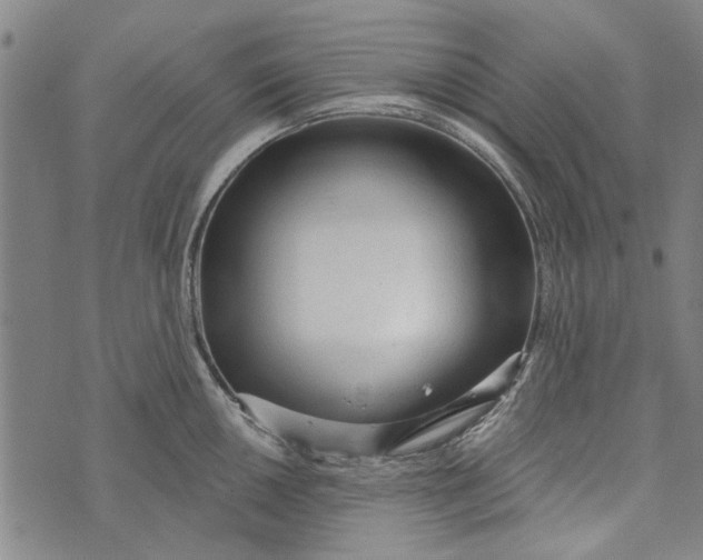 X0000073761050200608241407