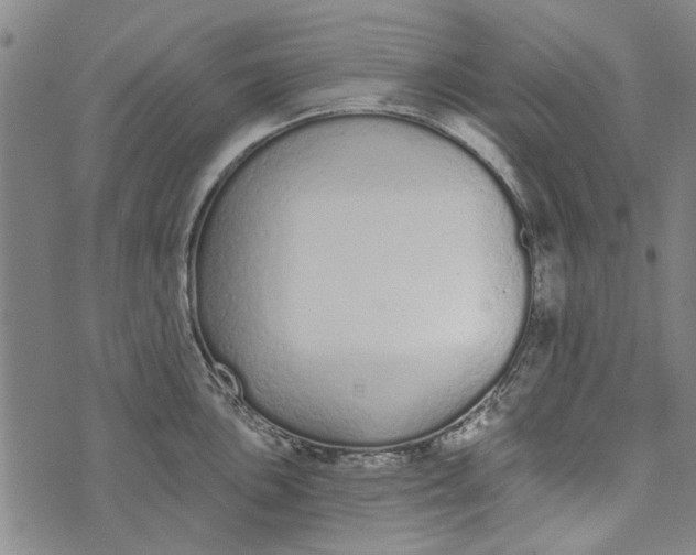 X0000073761051200608241407