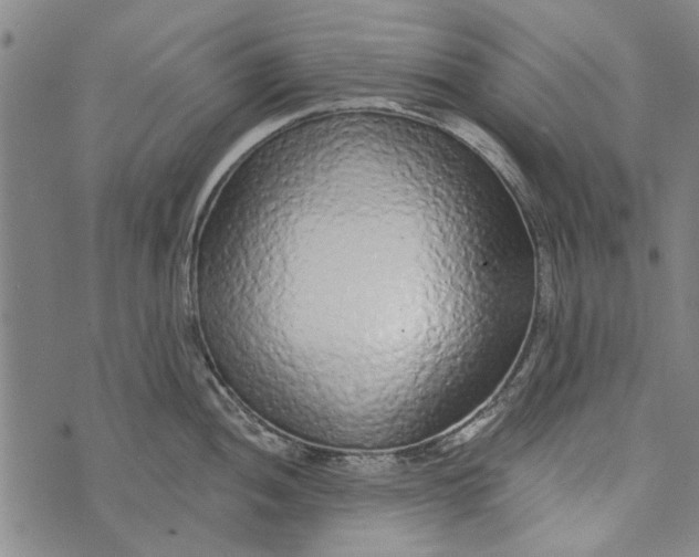 X0000073761052200608241407