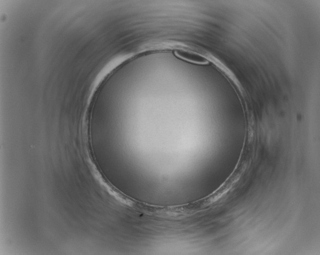 X0000073761053200608241407