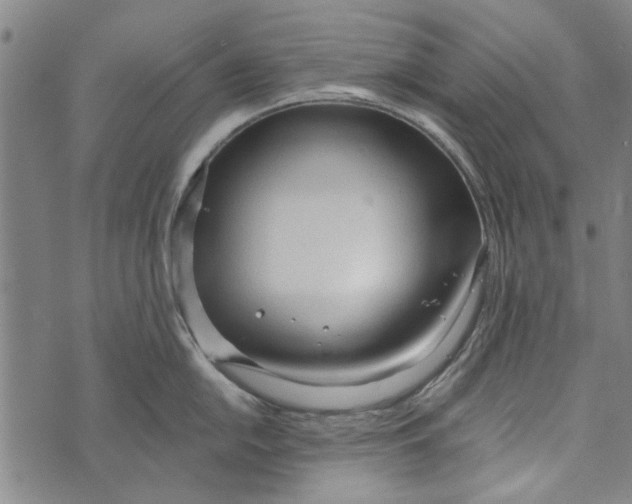 X0000073761054200608241407