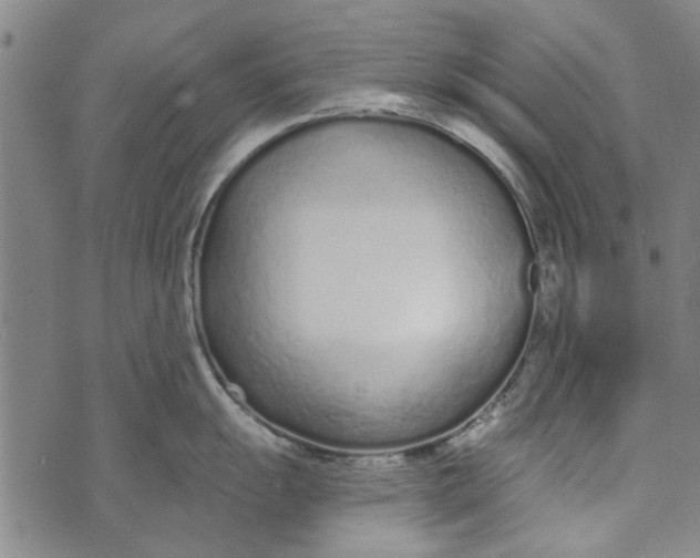 X0000073761055200608241407