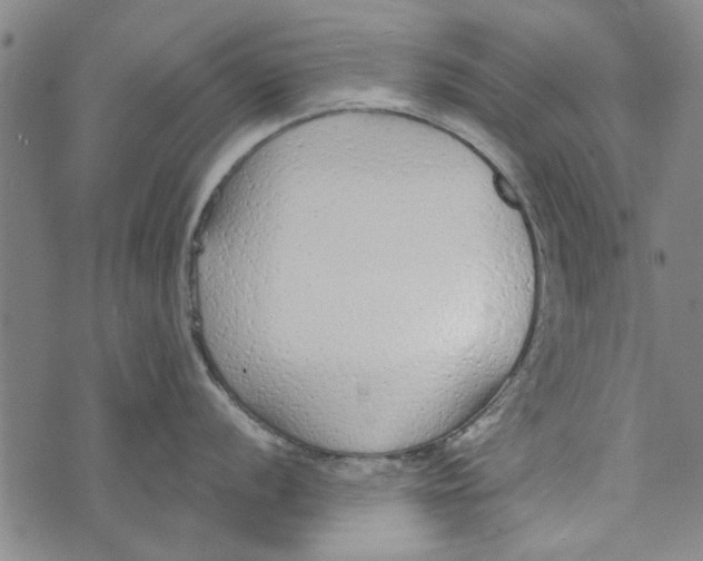 X0000073761056200608241407