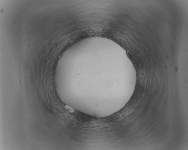 X0000073761057200608241406