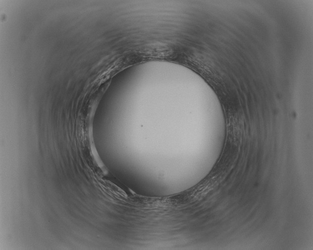 X0000073761058200608241406