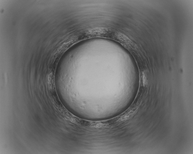 X0000073761059200608241406