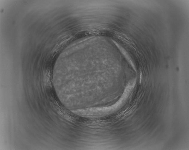 X0000073761060200608241406