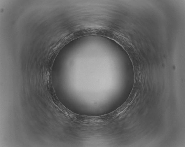 X0000073761061200608241406