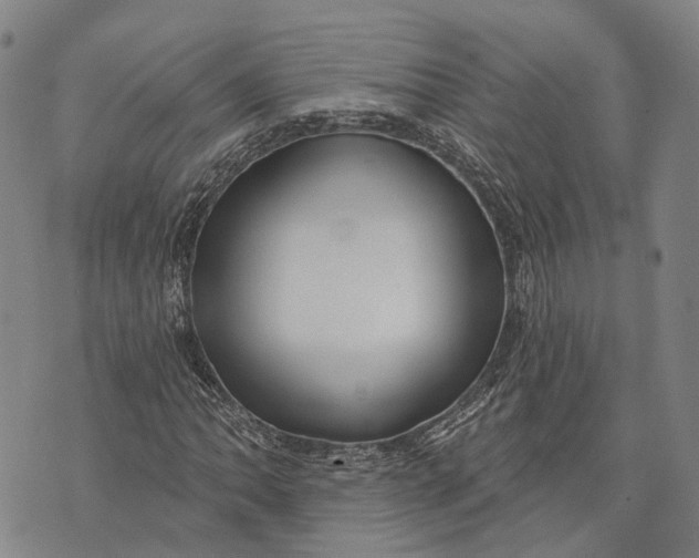 X0000073761062200608241406