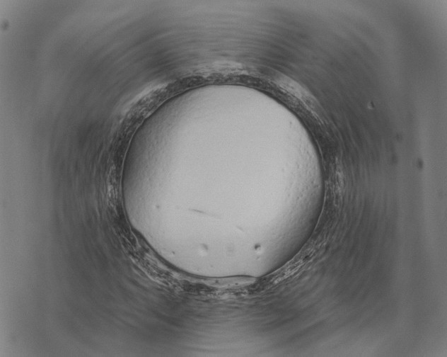 X0000073761063200608241406