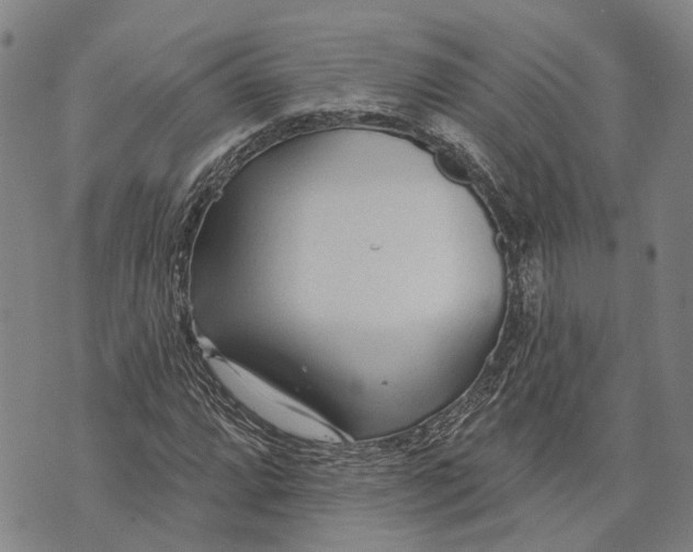 X0000073761064200608241406