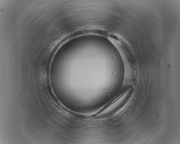 X0000073761065200608241406