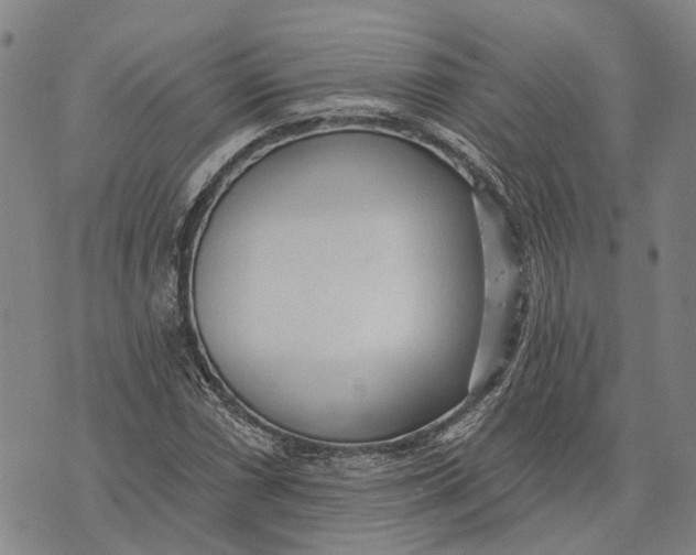 X0000073761066200608241406