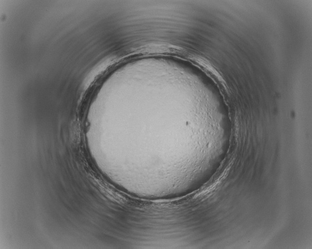 X0000073761067200608241406