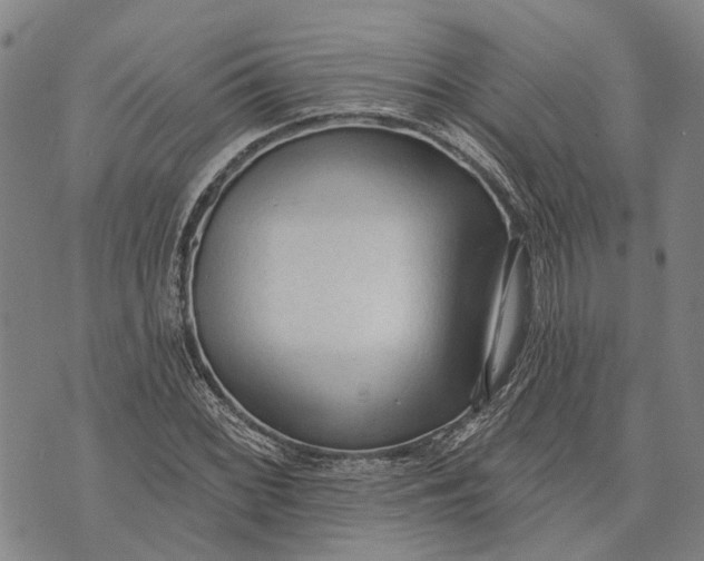 X0000073761068200608241406