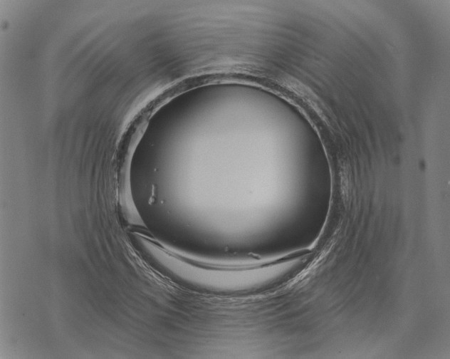 X0000073761069200608241406