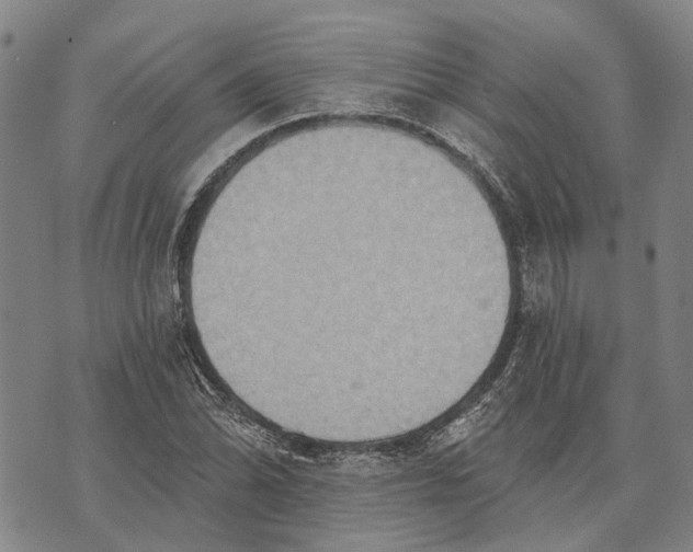 X0000073761070200608241406