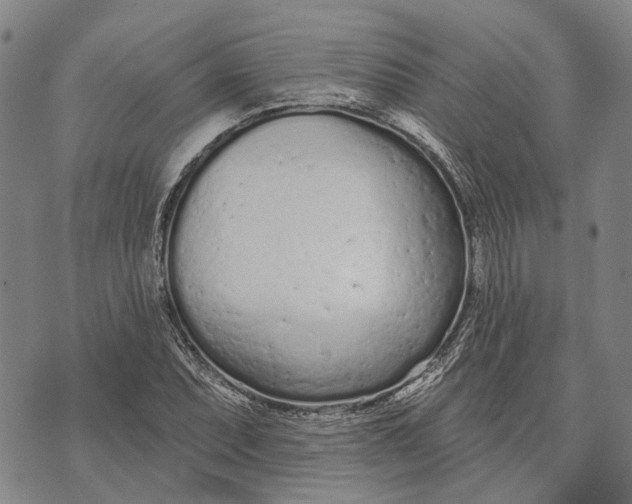 X0000073761071200608241406