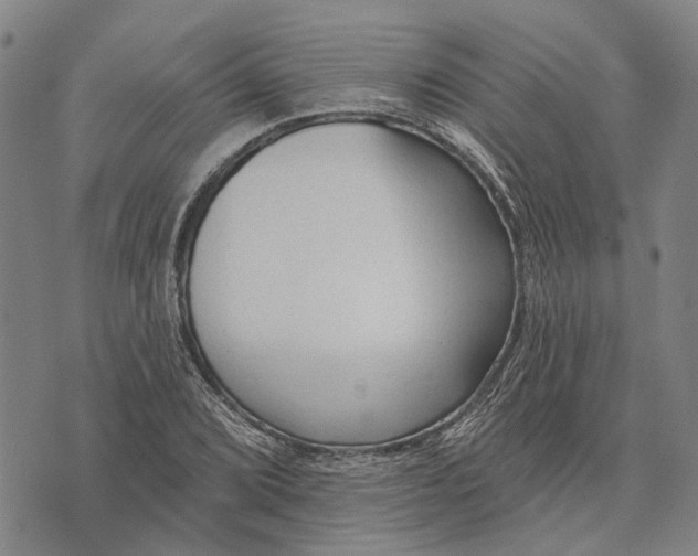 X0000073761072200608241406