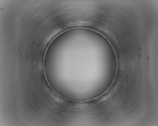 X0000073761073200608241406