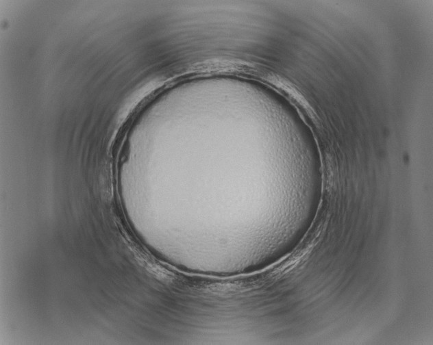 X0000073761075200608241406