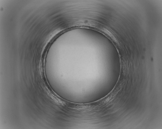 X0000073761076200608241406