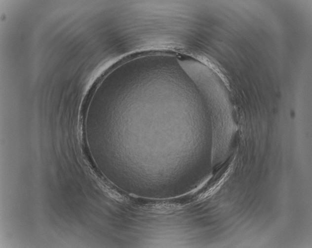 X0000073761077200608241406