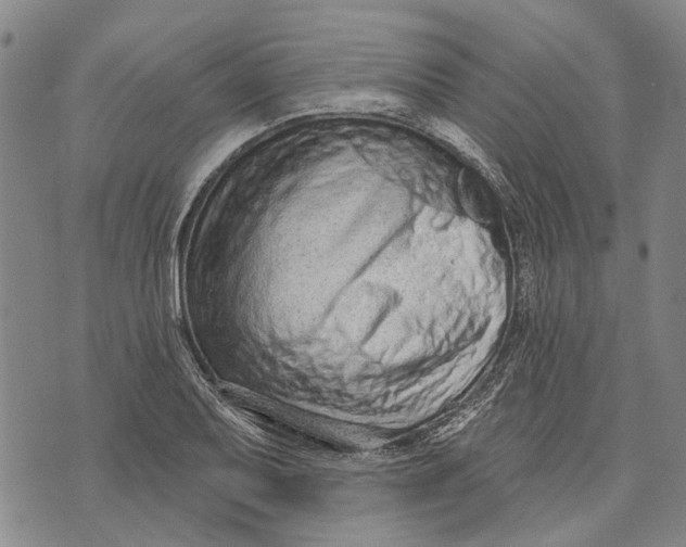 X0000073761079200608241406