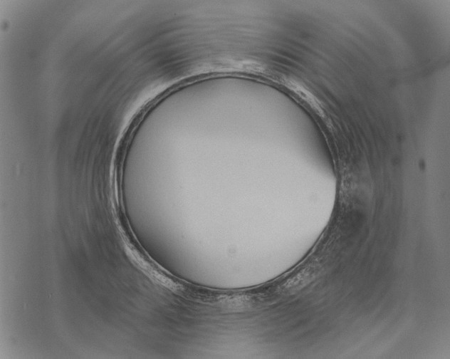 X0000073761080200608241406