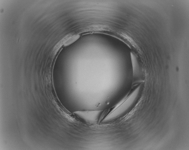 X0000073761081200608241406