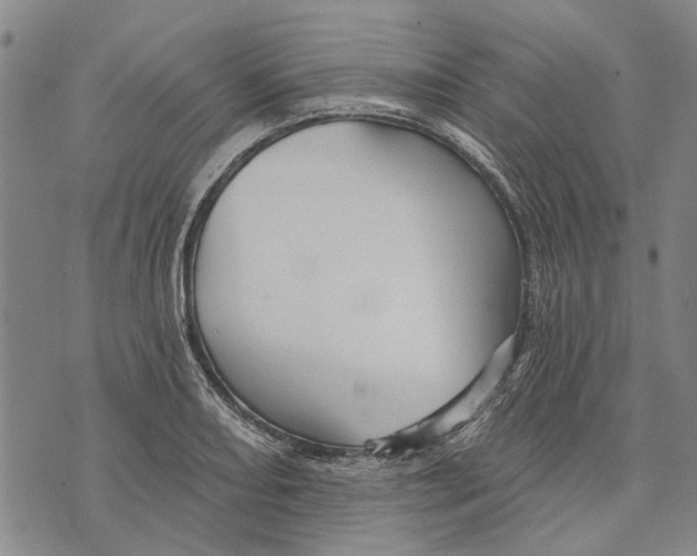 X0000073761082200608241406