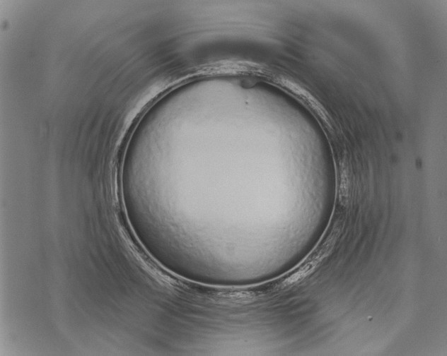 X0000073761083200608241406