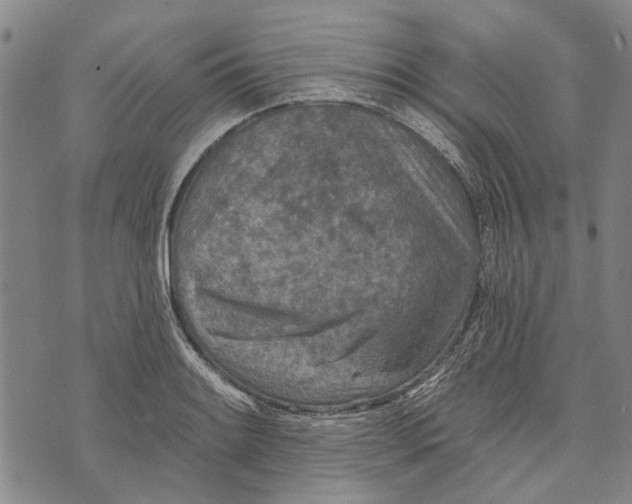 X0000073761084200608241406