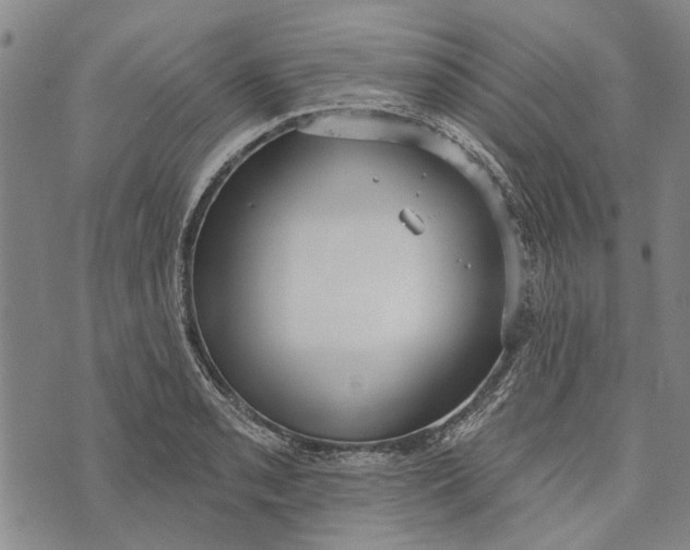 X0000073761085200608241406