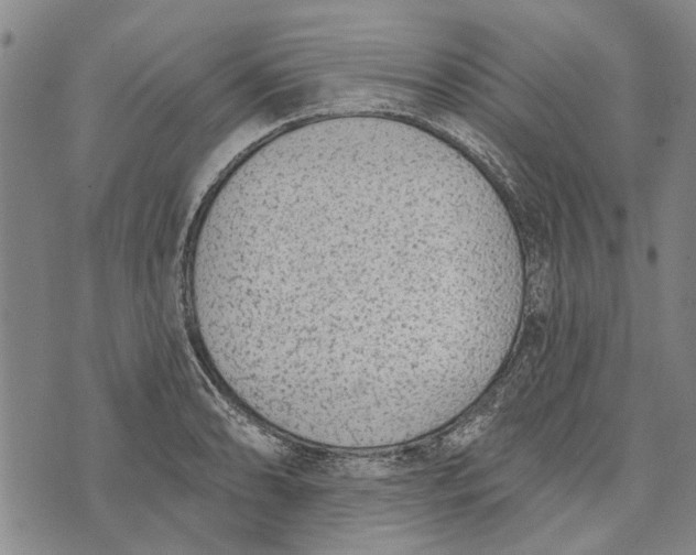 X0000073761086200608241406